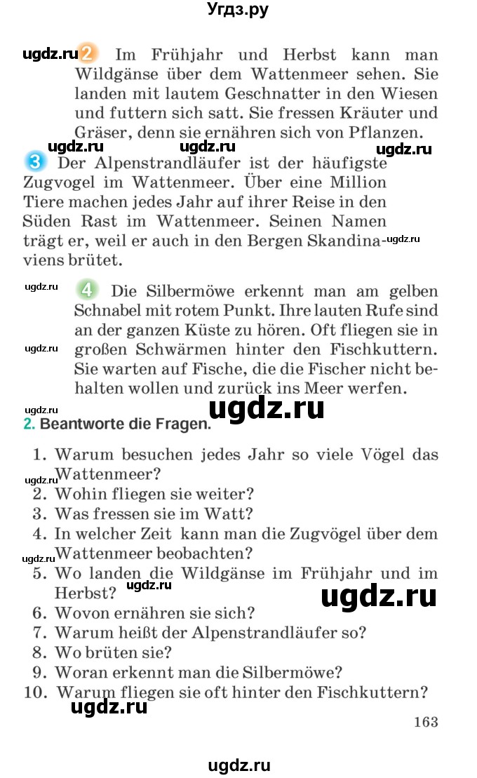 ГДЗ (Учебник) по немецкому языку 6 класс Зуевская Е.В. / часть 2. страница / 163