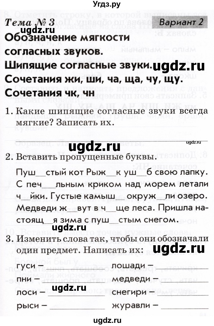 ГДЗ (Тетрадь 2022) по русскому языку 1 класс (Тематический контроль (математика, русский)) В.Т. Голубь / русский язык / 3. обозначение мягкости согласных звуков / Вариант 2