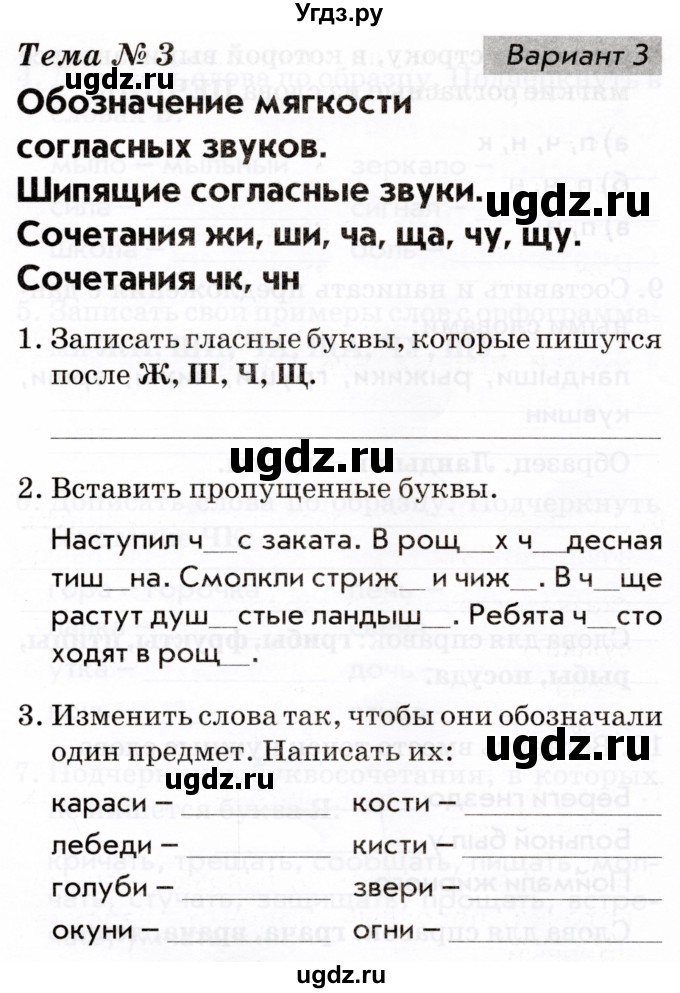 ГДЗ (Тетрадь 2022) по русскому языку 1 класс (Тематический контроль (математика, русский)) В.Т. Голубь / русский язык / 3. обозначение мягкости согласных звуков / Вариант 3