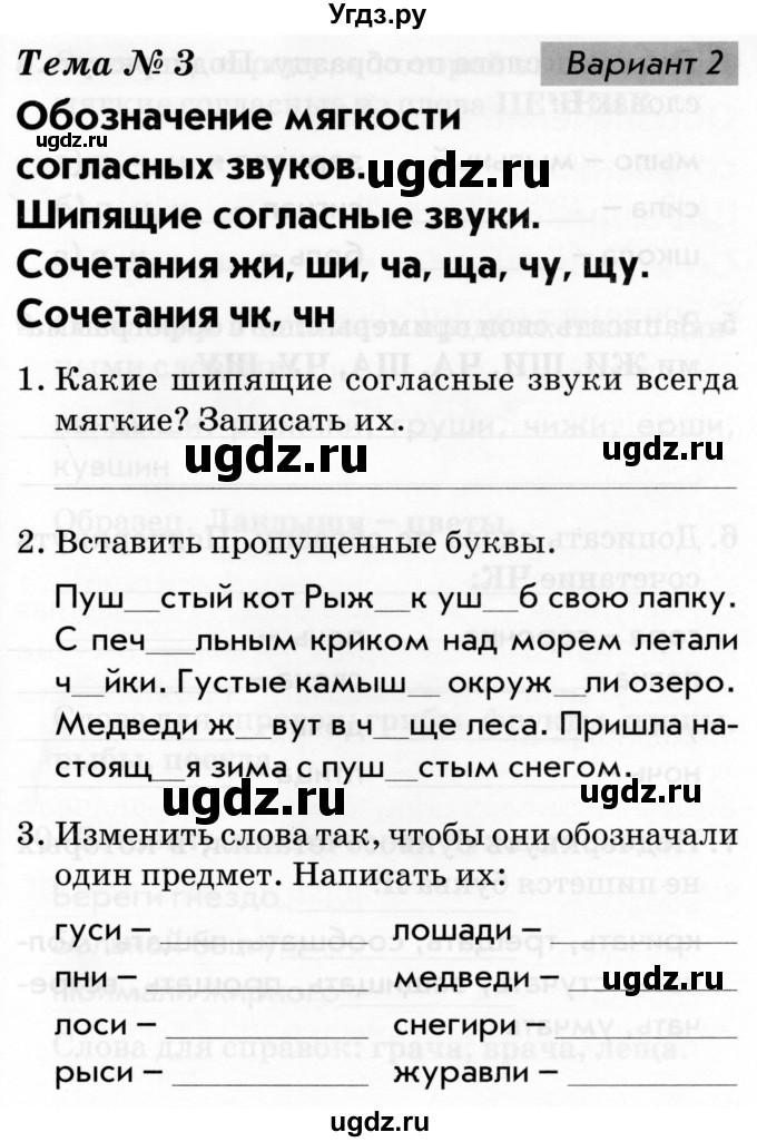 ГДЗ (Тетрадь 2019) по русскому языку 1 класс (Тематический контроль (математика, русский)) В.Т. Голубь / русский язык / 3. обозначение мягкости согласных звуков / Вариант 2