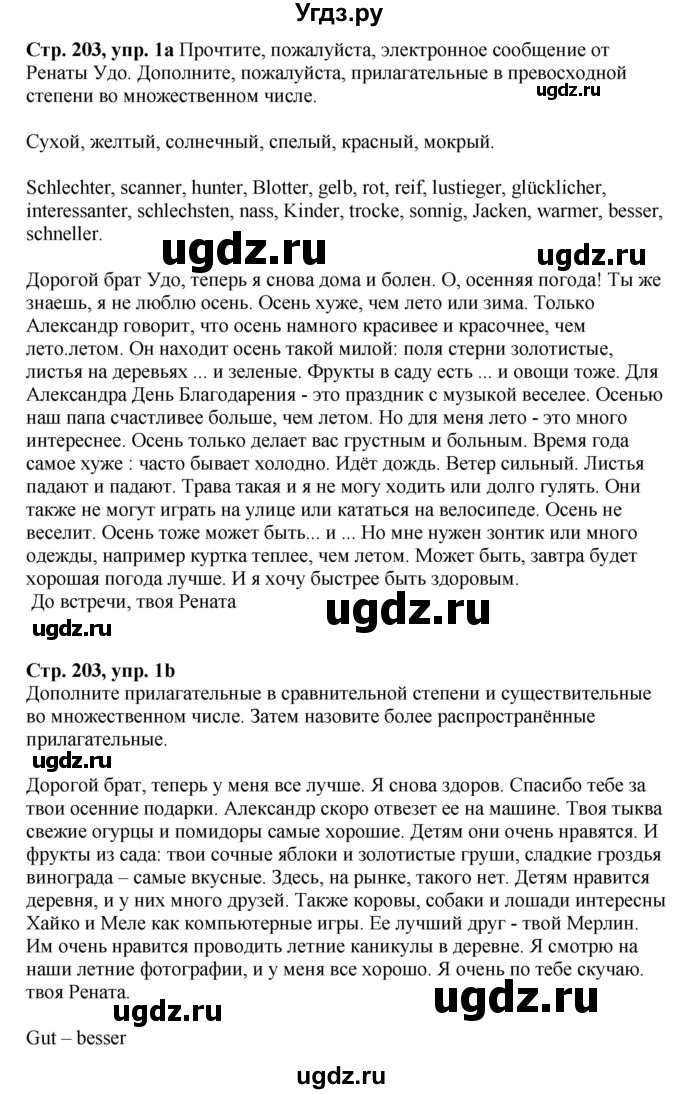 ГДЗ (Решебник к учебнику Wunderkinder Plus) по немецкому языку 6 класс Радченко О.А. / страница / 203