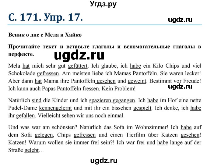 ГДЗ (Решебник к учебнику Wunderkinder) по немецкому языку 6 класс Радченко О.А. / страница / 171