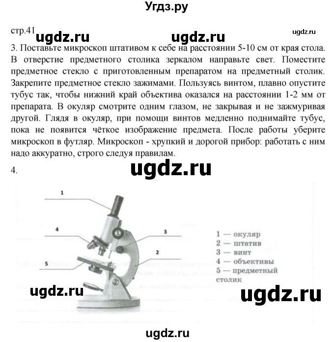 ГДЗ (Решебник) по биологии 5 класс (рабочая тетрадь) В.В. Пасечник / страница / 41