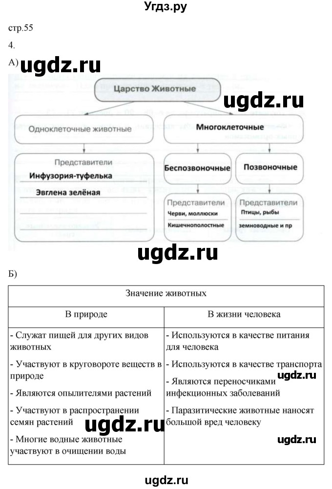 ГДЗ (Решебник) по биологии 5 класс (рабочая тетрадь) В.В. Пасечник / страница / 55