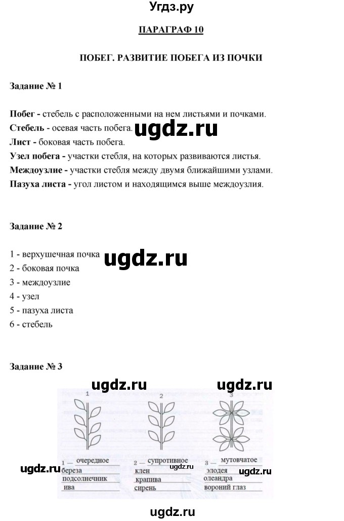 ГДЗ (Решебник) по биологии 6 класс (рабочая тетрадь) В. В. Пасечник / параграфы / 10