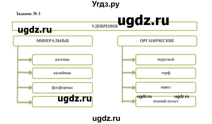 ГДЗ (Решебник) по биологии 6 класс (рабочая тетрадь) В. В. Пасечник / параграфы / 18(продолжение 2)