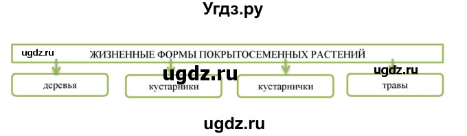 ГДЗ (Решебник) по биологии 6 класс (рабочая тетрадь) В. В. Пасечник / параграфы / 24(продолжение 2)