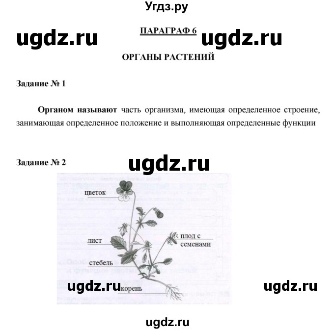 ГДЗ (Решебник) по биологии 6 класс (рабочая тетрадь) В. В. Пасечник / параграфы / 6