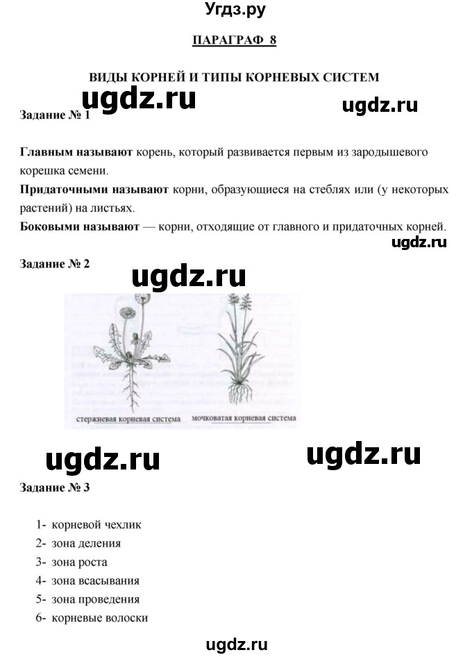 ГДЗ (Решебник) по биологии 6 класс (рабочая тетрадь) В. В. Пасечник / параграфы / 8