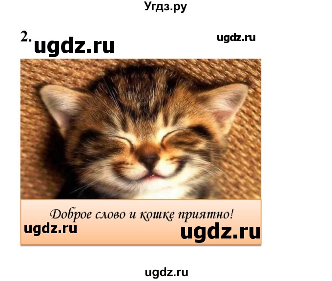ГДЗ (Решебник) по русскому языку 10 класс Александрова О.М. / 11 класс / 109(продолжение 2)