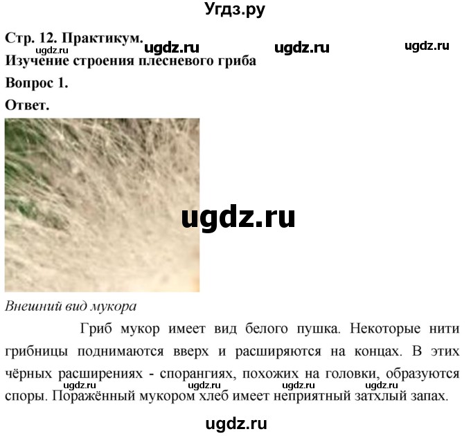 ГДЗ (Решебник) по биологии 8 класс Суматохин С.В. / часть 1 / §2 / практикум / 1