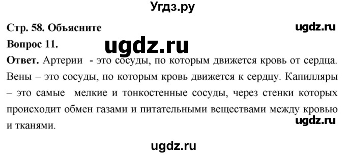 ГДЗ (Решебник) по биологии 8 класс Суматохин С.В. / часть 1 / §11 / объясните / 11