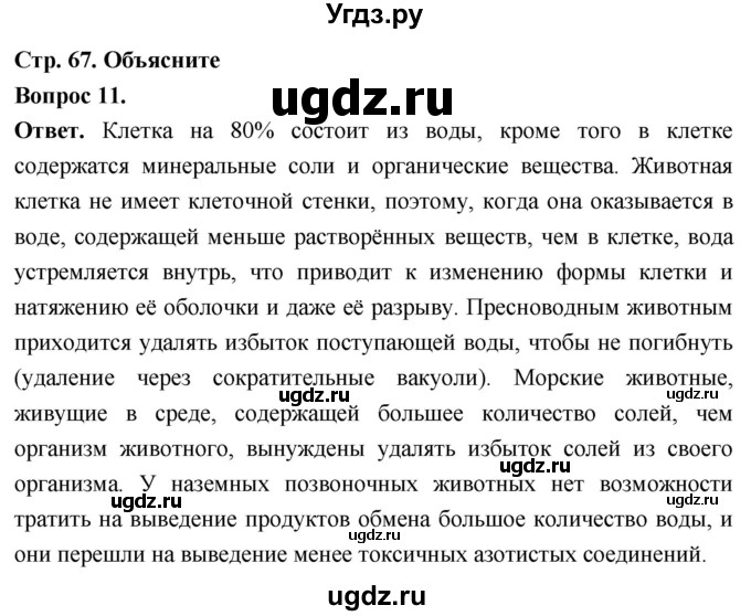 ГДЗ (Решебник) по биологии 8 класс Суматохин С.В. / часть 1 / §13 / объясните / 11