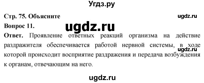 ГДЗ (Решебник) по биологии 8 класс Суматохин С.В. / часть 1 / §15 / объясните / 11