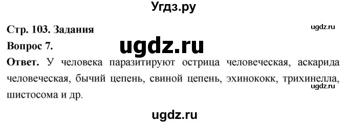 ГДЗ (Решебник) по биологии 8 класс Суматохин С.В. / часть 1 / §20 / задание / 7