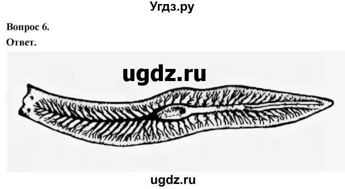 ГДЗ (Решебник) по биологии 8 класс Суматохин С.В. / часть 1 / §21 / практикум / 6
