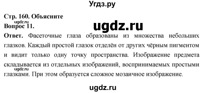 ГДЗ (Решебник) по биологии 8 класс Суматохин С.В. / часть 1 / §30 / объясните / 11