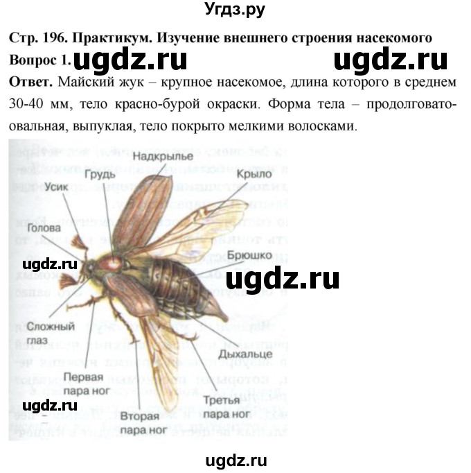 ГДЗ (Решебник) по биологии 8 класс Суматохин С.В. / часть 1 / §37 / практикум / 1