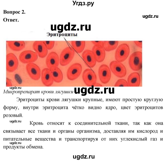 ГДЗ (Решебник) по биологии 8 класс Суматохин С.В. / часть 1 / §9 / практикум / 2