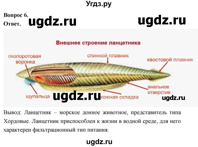 ГДЗ (Решебник) по биологии 8 класс Суматохин С.В. / часть 2 / §2 / практикум / 6