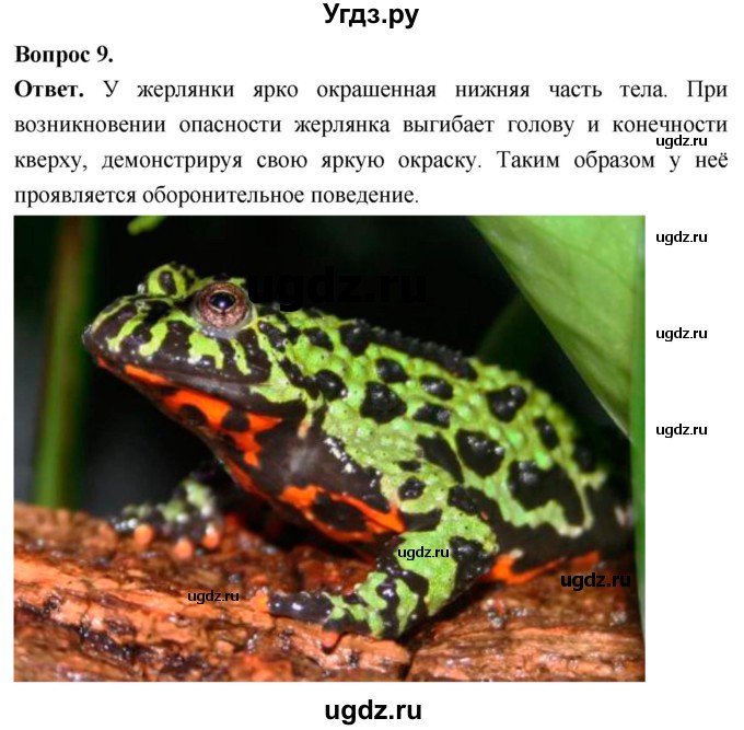 ГДЗ (Решебник) по биологии 8 класс Суматохин С.В. / часть 2 / §14 / задание / 9