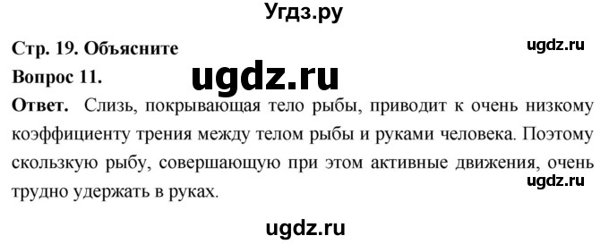 ГДЗ (Решебник) по биологии 8 класс Суматохин С.В. / часть 2 / §3 / объясните / 11