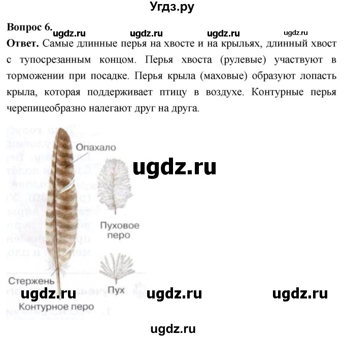 ГДЗ (Решебник) по биологии 8 класс Суматохин С.В. / часть 2 / §20 / практикум / 6