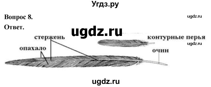 ГДЗ (Решебник) по биологии 8 класс Суматохин С.В. / часть 2 / §20 / практикум / 8