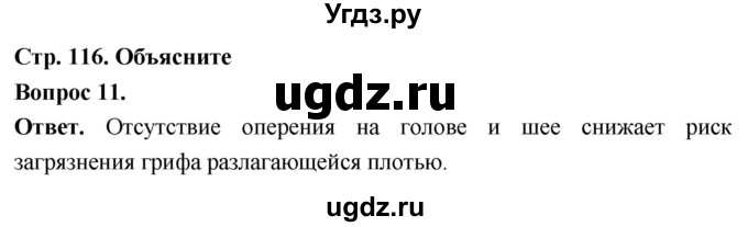 ГДЗ (Решебник) по биологии 8 класс Суматохин С.В. / часть 2 / §20 / объясните / 11