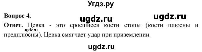 ГДЗ (Решебник) по биологии 8 класс Суматохин С.В. / часть 2 / §21 / вопрос / 4