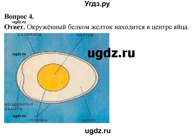 ГДЗ (Решебник) по биологии 8 класс Суматохин С.В. / часть 2 / §24 / практикум / 4