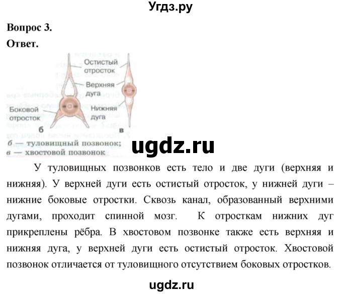 ГДЗ (Решебник) по биологии 8 класс Суматохин С.В. / часть 2 / §4 / практикум / 3
