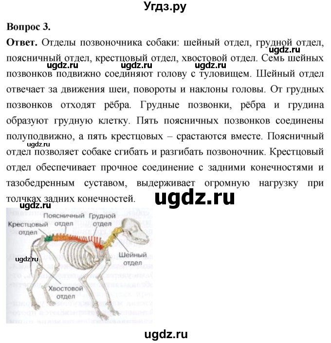ГДЗ (Решебник) по биологии 8 класс Суматохин С.В. / часть 2 / §29 / практикум / 3