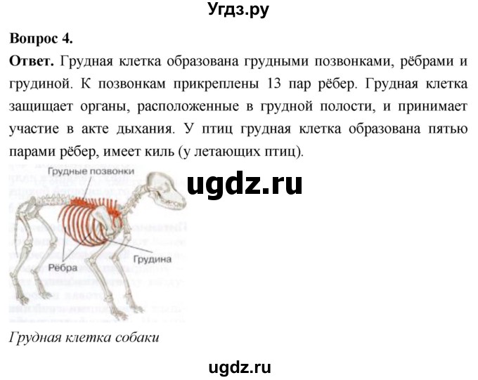 ГДЗ (Решебник) по биологии 8 класс Суматохин С.В. / часть 2 / §29 / практикум / 4