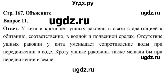ГДЗ (Решебник) по биологии 8 класс Суматохин С.В. / часть 2 / §31 / объясните / 11