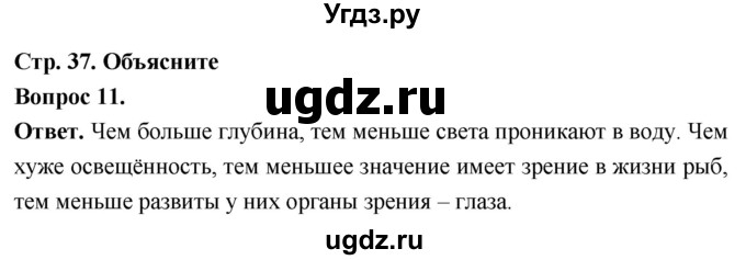 ГДЗ (Решебник) по биологии 8 класс Суматохин С.В. / часть 2 / §6 / объясните / 11