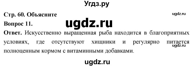 ГДЗ (Решебник) по биологии 8 класс Суматохин С.В. / часть 2 / §10 / объясните / 11