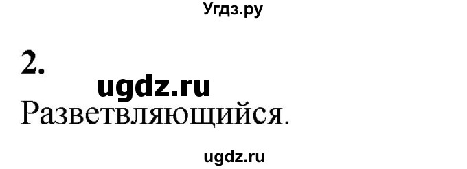 ГДЗ (Решебник) по информатике 6 класс (самостоятельные и контрольные работы) Босова Л.Л. / СР. типы алгоритмов / вариант 2 / 2