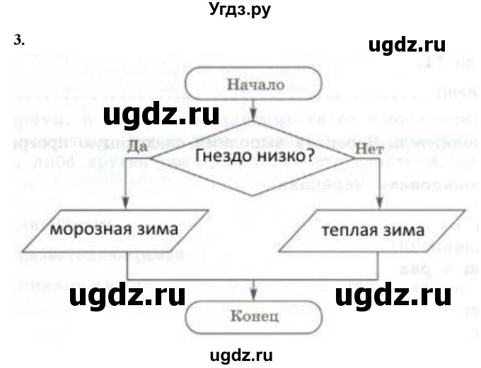 ГДЗ (Решебник) по информатике 6 класс (самостоятельные и контрольные работы) Босова Л.Л. / СР. типы алгоритмов / вариант 2 / 3