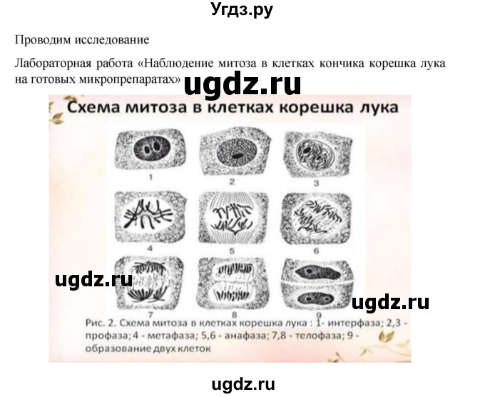 ГДЗ (Решебник) по биологии 10 класс Агафонова И.Б. / §17 / 74(продолжение 3)