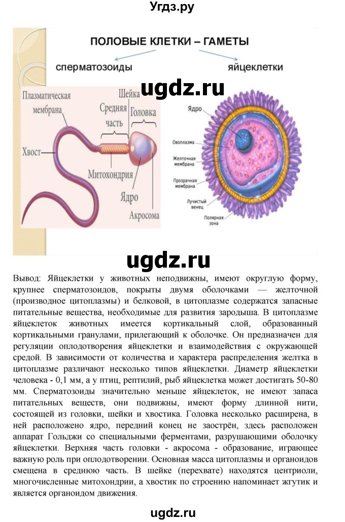 ГДЗ (Решебник) по биологии 10 класс Агафонова И.Б. / §20 / 87(продолжение 3)