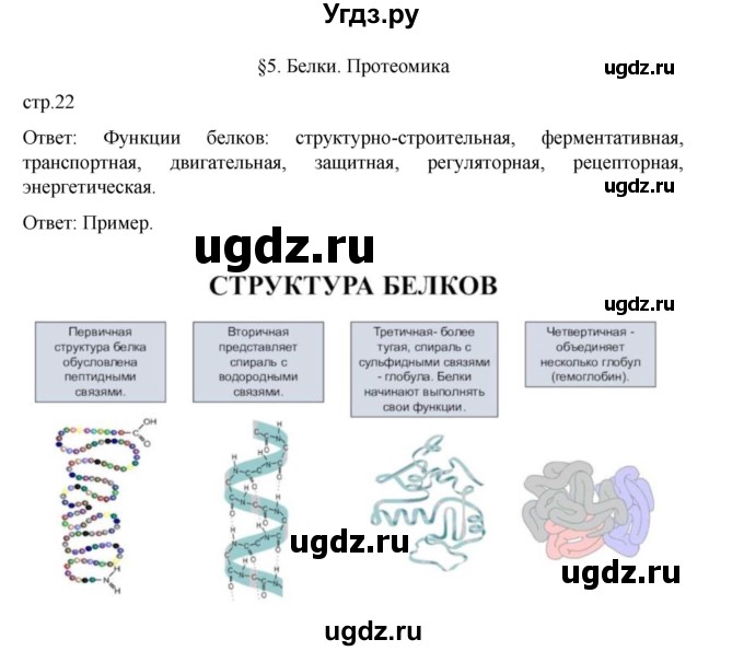 ГДЗ (Решебник) по биологии 10 класс Агафонова И.Б. / §5 / 22