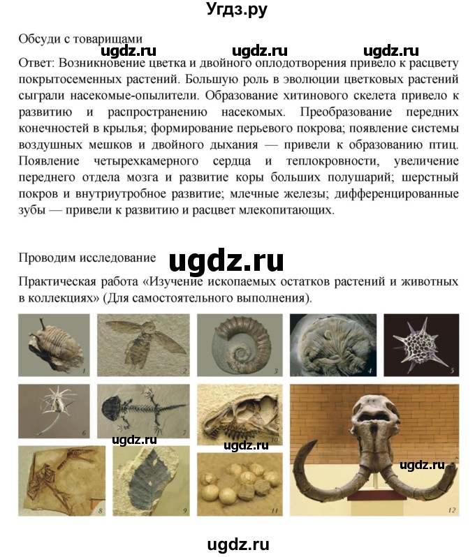 ГДЗ (Решебник) по биологии 10 класс Агафонова И.Б. / §48 / 204(продолжение 3)