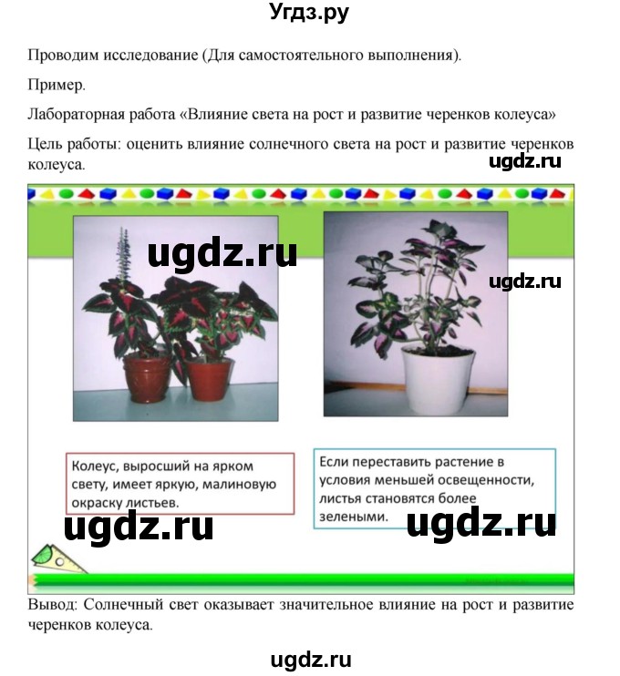 ГДЗ (Решебник) по биологии 10 класс Агафонова И.Б. / §55 / 234(продолжение 5)