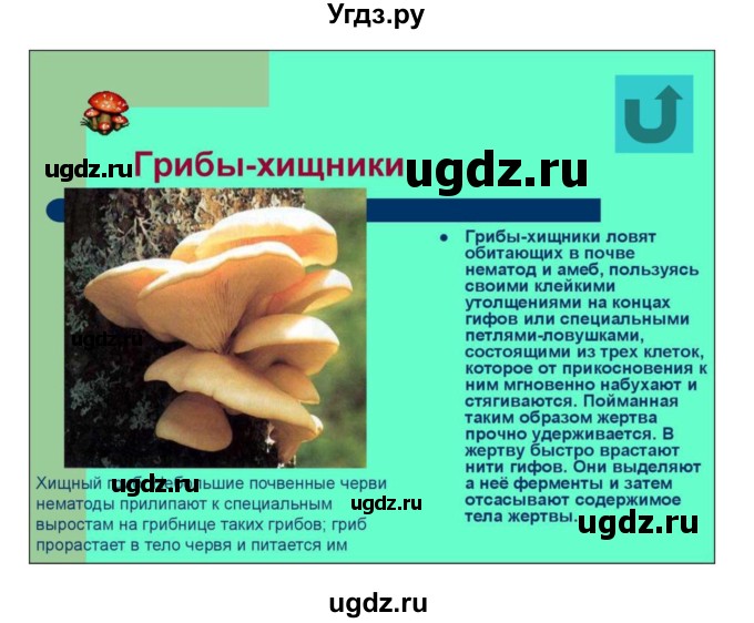ГДЗ (Решебник) по биологии 10 класс Агафонова И.Б. / §57 / 242(продолжение 3)