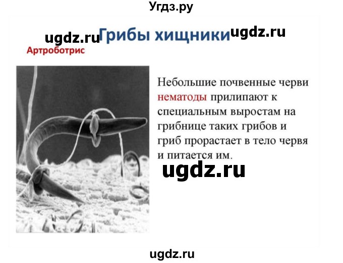 ГДЗ (Решебник) по биологии 10 класс Агафонова И.Б. / §57 / 242(продолжение 4)