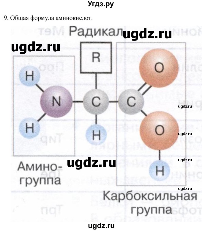ГДЗ (Решебник) по биологии 9 класс Суматохин С.В. / часть 1 / §2 / задание / 9
