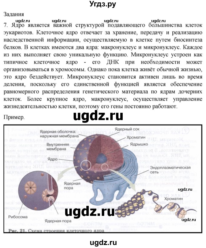 ГДЗ (Решебник) по биологии 9 класс Суматохин С.В. / часть 1 / §10 / задание / 7