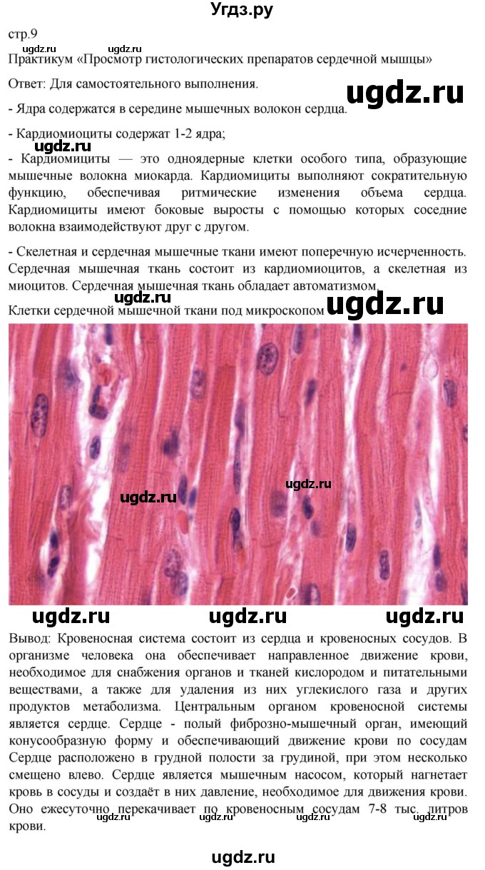 ГДЗ (Решебник) по биологии 9 класс Суматохин С.В. / часть 2 / §1 / практикум / стр. 9