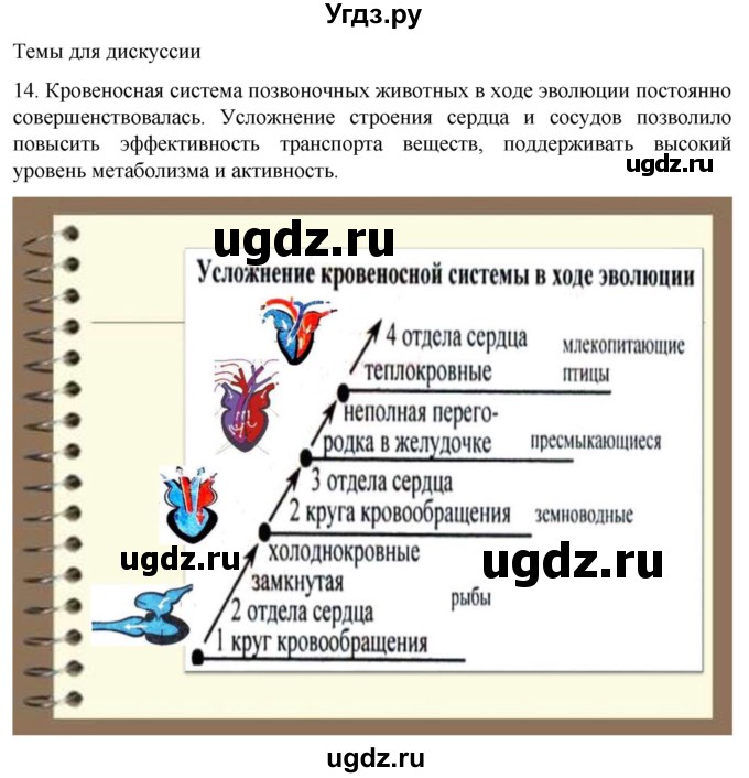 ГДЗ (Решебник) по биологии 9 класс Суматохин С.В. / часть 2 / §1 / темы для дискуссий / 14